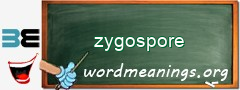 WordMeaning blackboard for zygospore